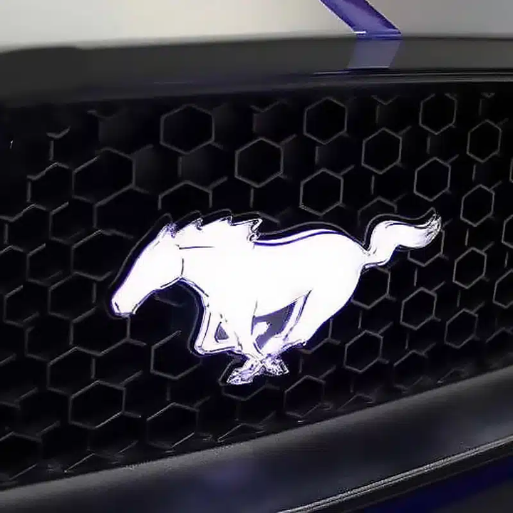Ford Mustang Logo Replacement