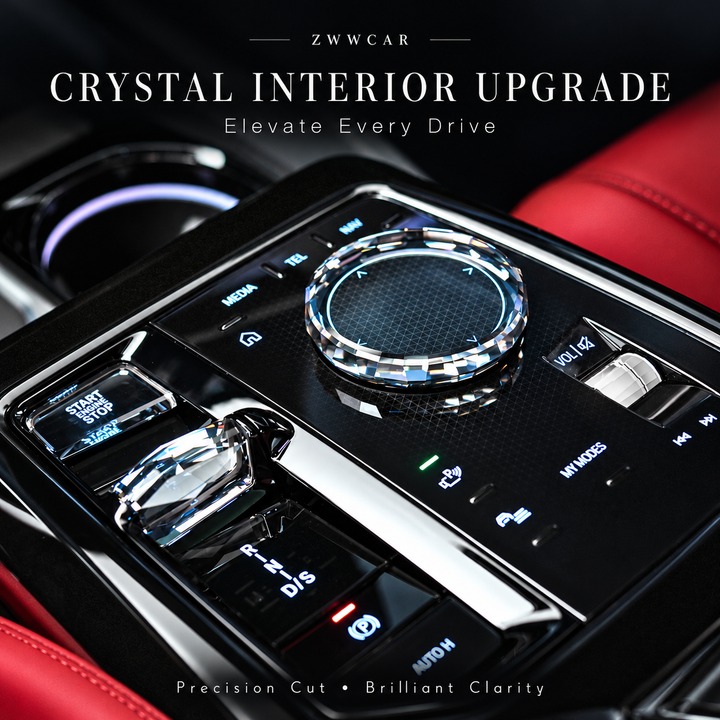 BMW Crystal Gear Shift Paddles